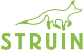 Struin